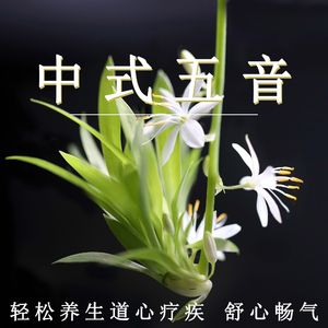 91网综合
